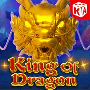 Dịch vụ hỗ trợ khách hàng chuyên nghiệp 197vip