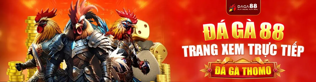 Sảnh Đá Gà Trực Tuyến 197vip Hấp Dẫn